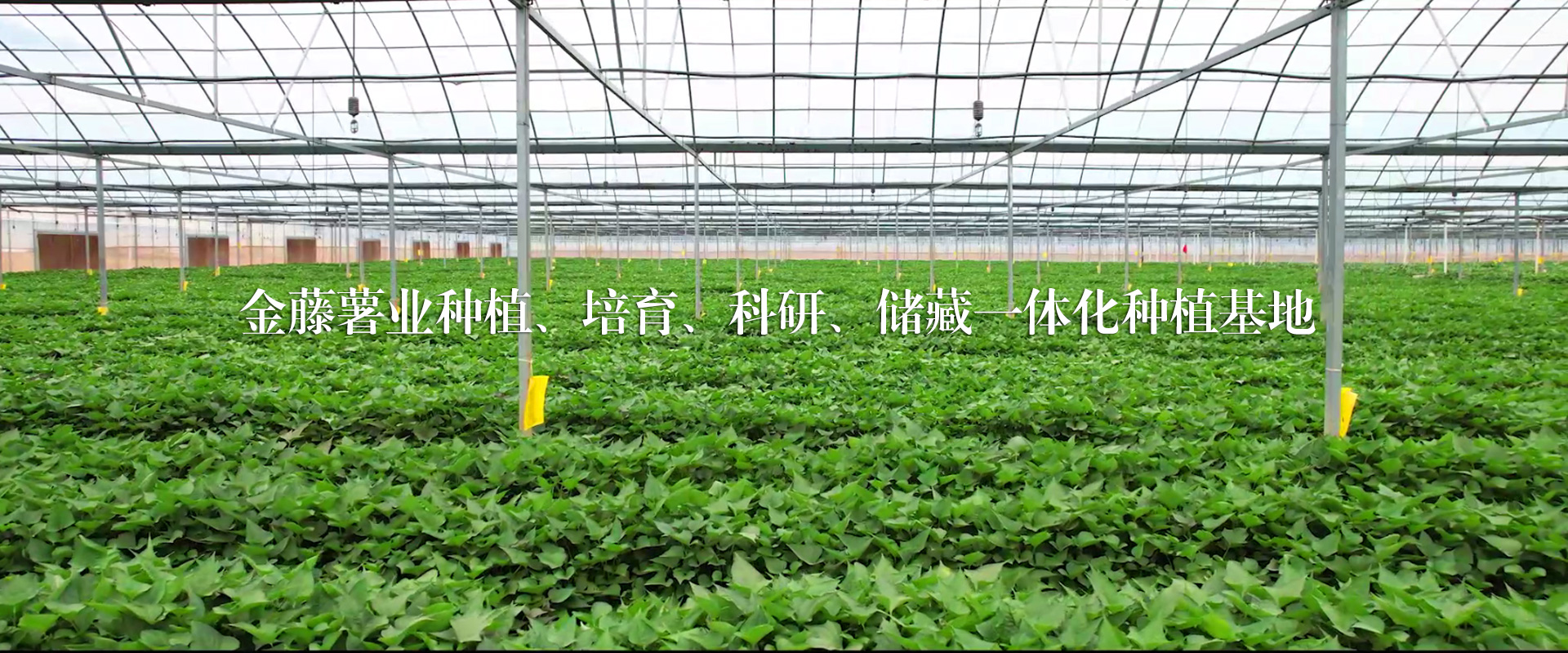 鋼結構加工